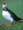 click for a bigger image